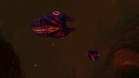 Lava Larva in the Inactive Lava Zone