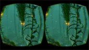 Oculus Rift 6.jpg (106 kB) Adelanto de los desarrolladores con el Oculus Rift en el Bosque de Algas