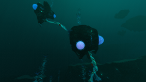 Underwater Islands grenzend an der Blood Kelp Zone