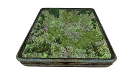 Abandoned Indoor Grobed