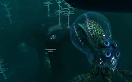 1.25969360038 78f36dffd4 b.jpg (97 КБ) Кальмаро-краб в зоне кровавых водорослей.