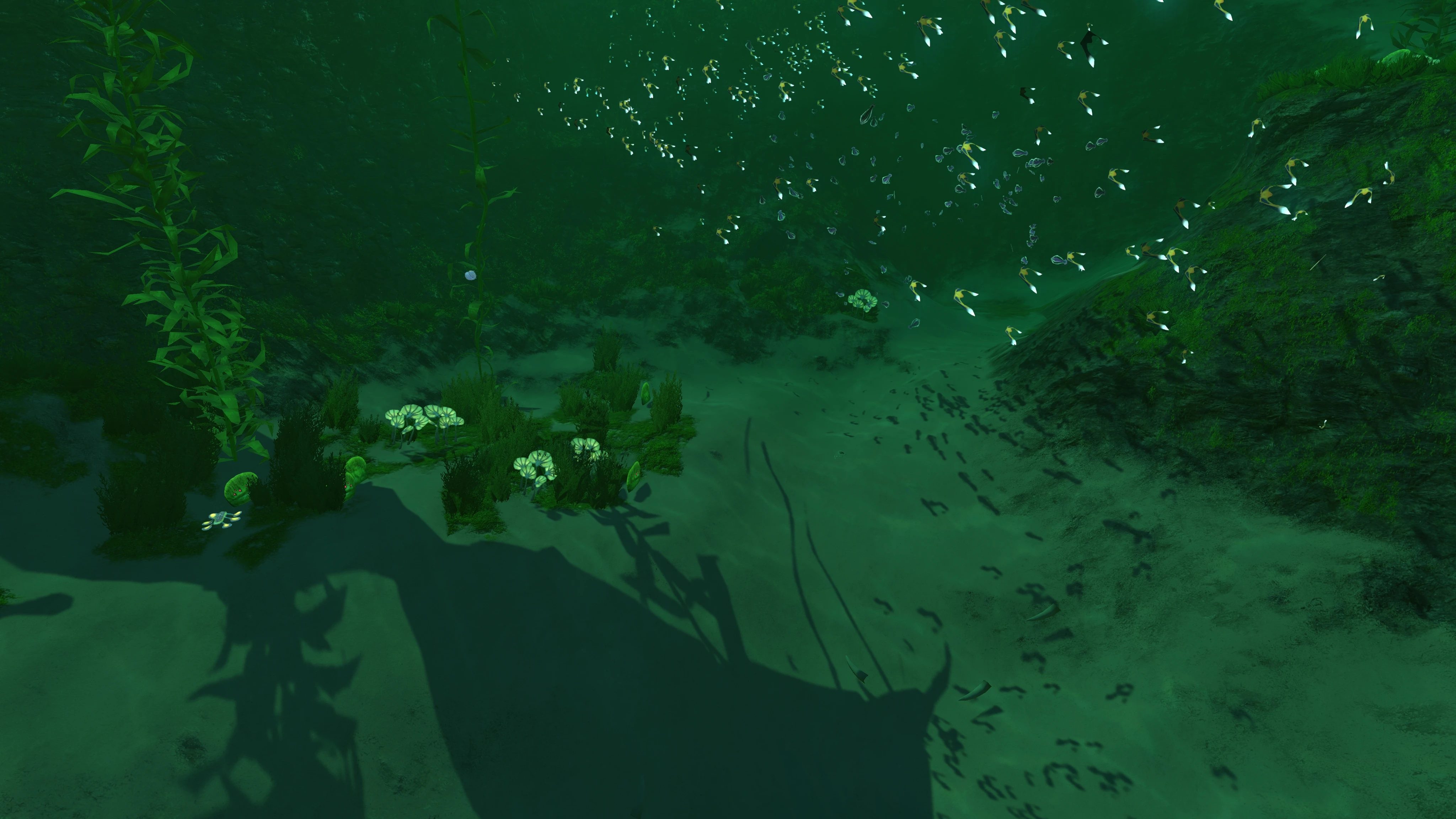 Subnautica 2 Shallow Reef exploration checklist — Shallow Reef guide