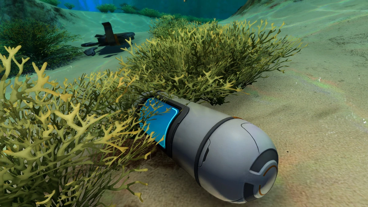 Time Capsule Subnautica Wiki Fandom