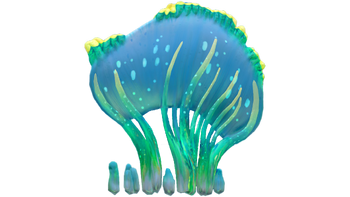 Sea Crown Flora