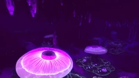 2016-02-07 00009
