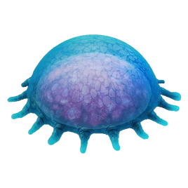 Ancient Floater Fauna