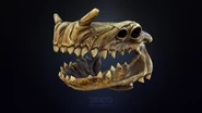 SeaDragonSkullSketchfab.png (1.44 MB) Model of the skull from Sketchfab