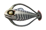 Spinefish Fauna.png