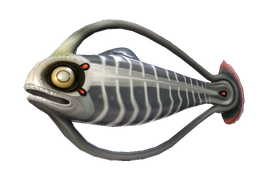 Spinefish Fauna