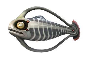 Spinefish (Subnautica) | Subnautica Wiki | Fandom