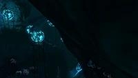Mehrere Diamanten früher im Deep Grand Reef