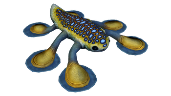 Hoverfish Fauna