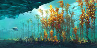 Concept art of the Arctic Kelp Forest