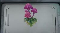 A Plant Shelf with a Pink Cap