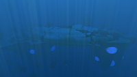 A view of the wreck in the biome