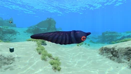 LavaLarva3.jpg (377 КБ) Вид сбоку.