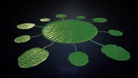 Lilypad Highpoly WIP.png (1.71 MB) Lilypad Highpoly WIP