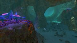 Safe Shallows Caves6.jpg