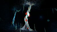 Bloodroot