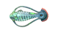 Wirbelfisch