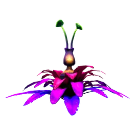 Antennae Plant Flora