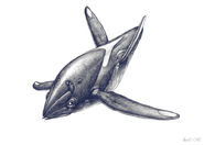 Non-Subnautica "aquatic alien sketch" - by Alex Ries, 2008, appears to have inspired the Squidshark design