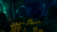 A large tunnel within the biome