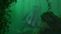 KelpForestWreck-2