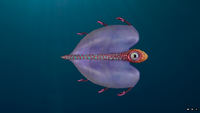 Bladderfish's model from Sketchfab