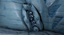 Рудная жила с кварцем.