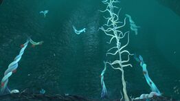 BKZnova3.jpeg (677 КБ) Масляные корни, растущие на утёсе в северной Зоне кровавых водорослей