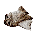 Cooked Triops Icon