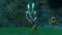 A single Crab Claw Kelp