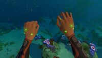 Ryley's infected hands in the Reinforced Dive Suit