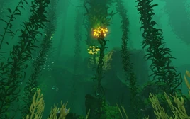 Biome - Kelp Forest