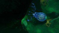 Crabsquid-in-LR.png (1.28 MB) Crabsquid-in-LR