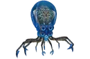 Crabsquid backgroundless