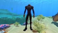 The player wearing the Reinforced Dive Suit