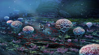 "Coral Zone" - by Pat Presley