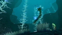 BloodKelpZone 02.jpg (639 КБ) Другой вид на северную Зону кровавых водорослей