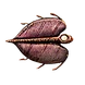 Cooked Bladderfish Icon