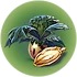 Marblemelon Seeds