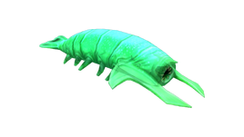 Rockgrub Fauna (BZ)