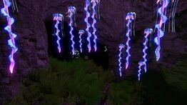 Kelp Forest Caves 01