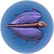Aerosaco