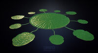 Highpoly model of the top of the Lilypads from Sketchfab