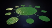 Highpoly model of the top of the Lilypads from Sketchfab