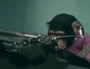 HollowMasculineEft-small.gif