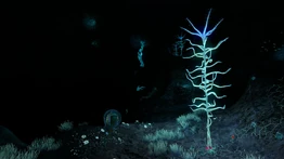 BKZn5.jpeg (303 КБ) Центральная пещера ночью