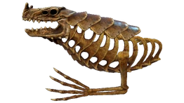СО4.png (938 КБ) Скелет морского дракона